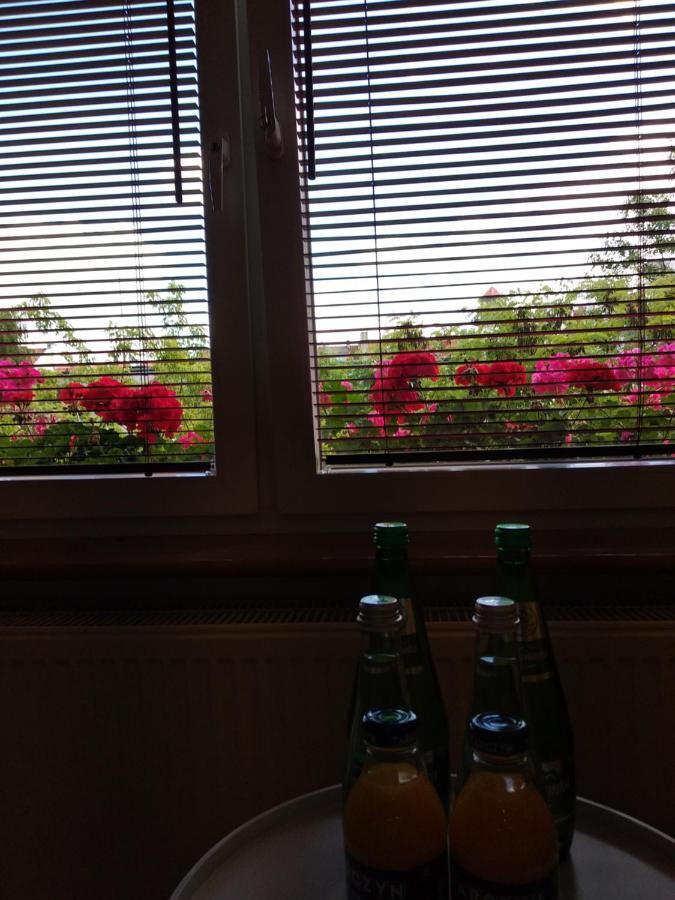 Copernicus 10 Apartment Olsztyn  Luaran gambar